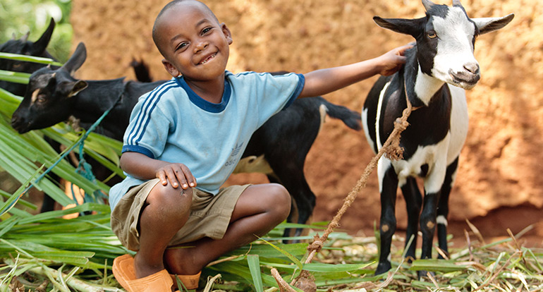 A Wonderful Cause For Animals And People – Heifer International