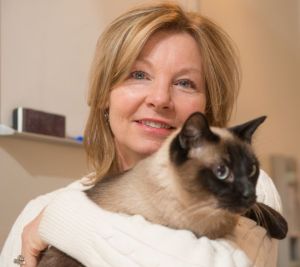 Research At CSU Suggests Stem Cell Therapy Beneficial To Cats In Chronic Kidney Failure